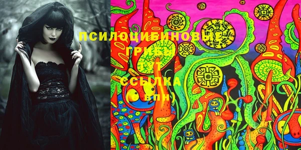 прущий лед Верея