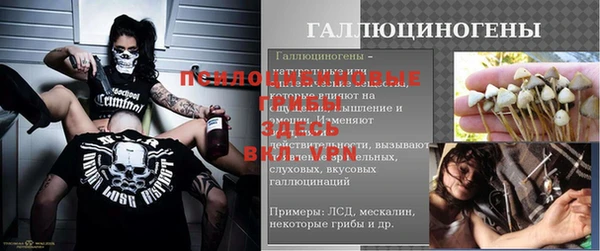 прущий лед Верея